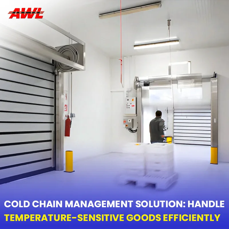 Cold Chain Management Solution: Handle Temperature-sensitive Goods Efficiently